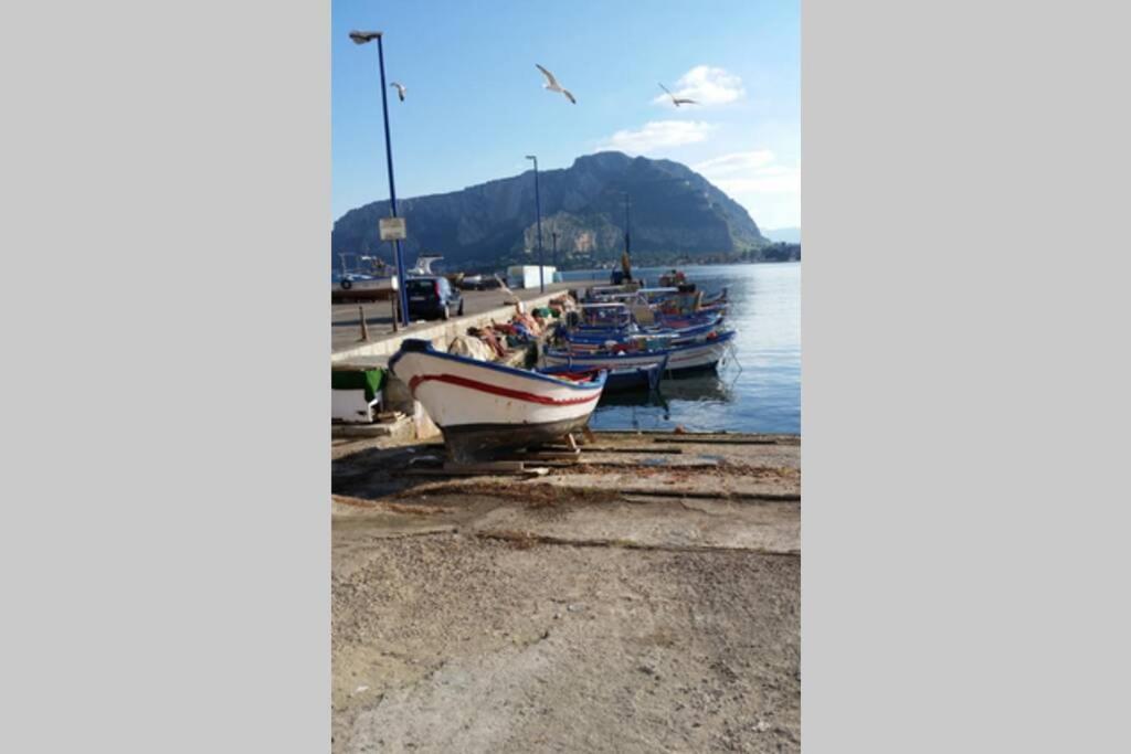 Villa Calypso'S Shell Palermo Esterno foto